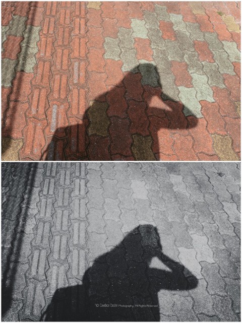 2015 10 28 0001 700x935(pp w480 h641) - Shadows | A Blog Circle Theme