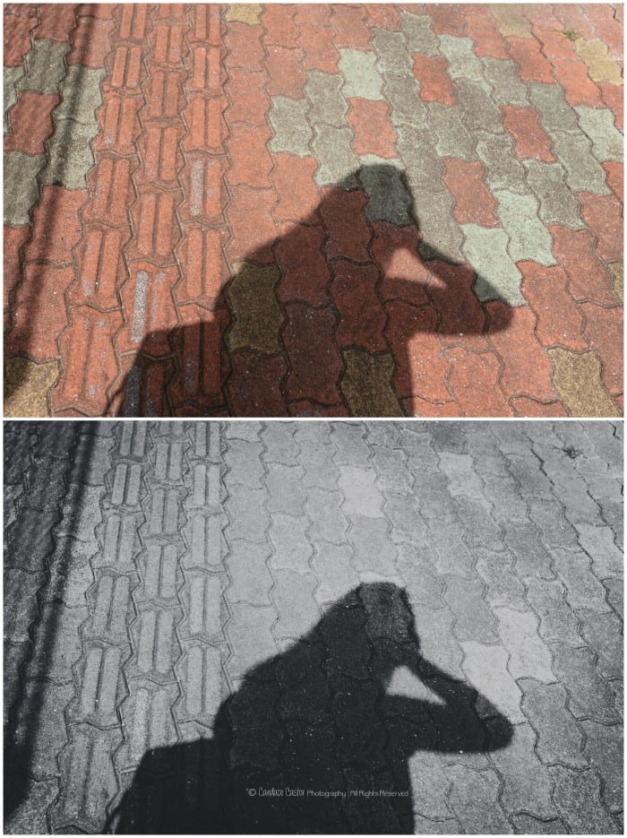 Shadows | A Blog Circle Theme 2015 10 28 0001 700x935 - Shadows | A Blog Circle Theme