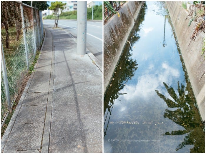 Shadows | A Blog Circle Theme 2015 10 28 0003 700x524 - Shadows | A Blog Circle Theme