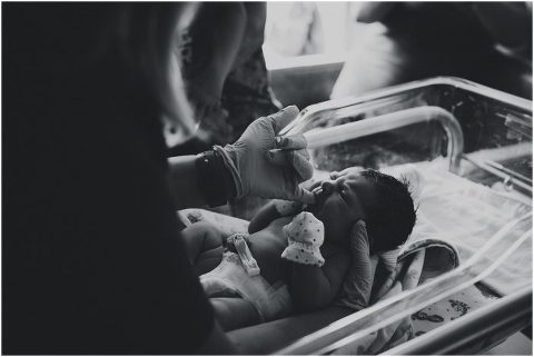 Northern Utah Fresh 48 Daisy019 700x469(pp w480 h321) - Northern Utah Fresh 48 | Daisy019