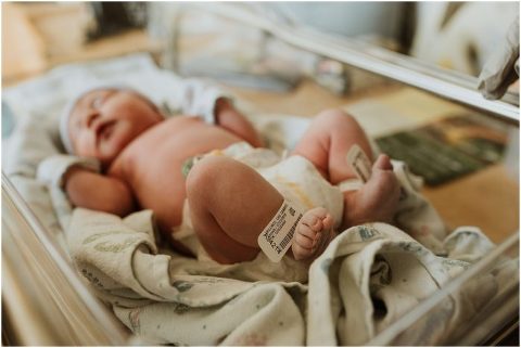 Northern Utah Fresh 48 Daisy022 700x469(pp w480 h321) - Northern Utah Fresh 48 | Daisy022