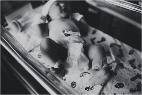 Northern Utah Fresh 48 Daisy023 700x469(pp w480 h321) - Northern Utah Fresh 48 | Daisy023