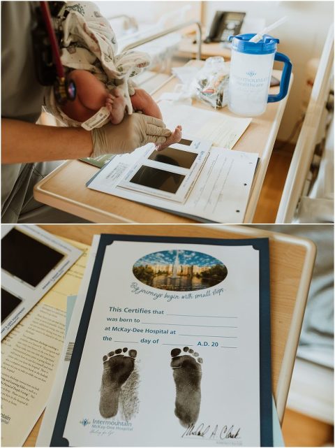 Northern Utah Fresh 48 Daisy024 700x935(pp w480 h641) - Northern Utah Fresh 48 | Daisy024