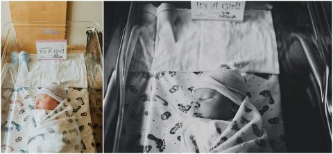 Northern Utah Fresh 48 Daisy028 700x324(pp w480 h222) - Northern Utah Fresh 48 | Daisy028