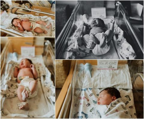 Northern Utah Fresh 48 Daisy029 700x579(pp w480 h397) - Northern Utah Fresh 48 | Daisy029