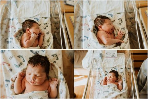 Northern Utah Fresh 48 Daisy035 700x469(pp w480 h321) - Northern Utah Fresh 48 | Daisy035