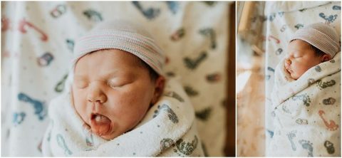 Northern Utah Fresh 48 Daisy037 700x324(pp w480 h222) - Northern Utah Fresh 48 | Daisy037