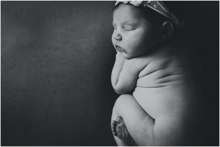 studion newborn sessions