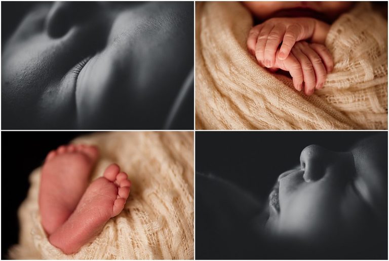 clearfield utah newborn photographer