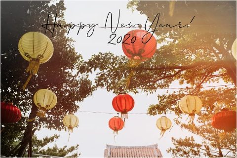 Happy New Year Candace Castor Photography 10 700x468(pp w480 h320) - Happy New Year Candace Castor Photography (10)