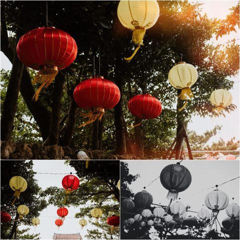 Happy New Year Candace Castor Photography 11 700x701(pp w480 h480) - Happy New Year Candace Castor Photography (11)