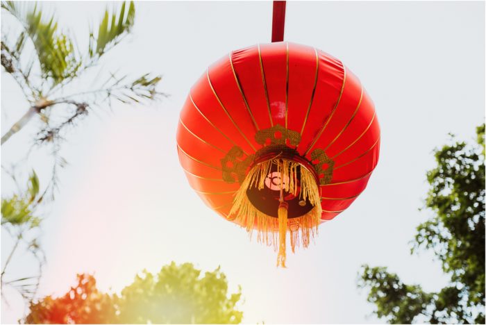 Happy New Year Candace Castor Photography 12 700x468 - Happy New Year Candace Castor Photography (12)