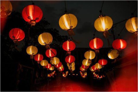 Happy New Year Candace Castor Photography 15 700x468(pp w480 h320) - Happy New Year Candace Castor Photography (15)