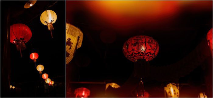 Happy New Year Candace Castor Photography 18 700x324 - Happy New Year Candace Castor Photography (18)