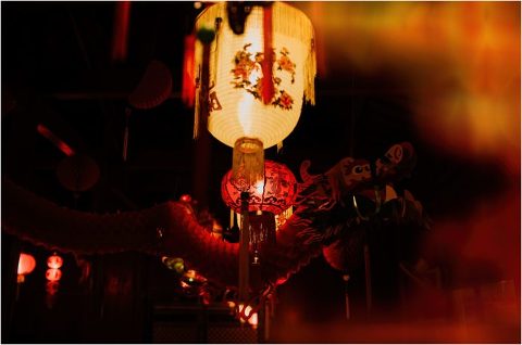 Happy New Year Candace Castor Photography 19 700x465(pp w480 h318) - Happy New Year Candace Castor Photography (19)