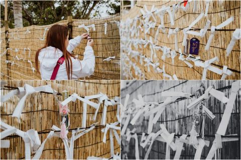 Happy New Year Candace Castor Photography 2 700x468(pp w480 h320) - Happy New Year Candace Castor Photography (2)