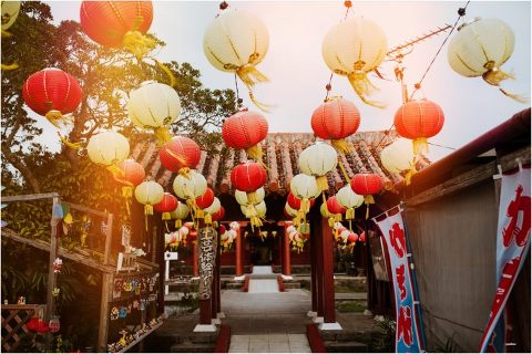 Happy New Year Candace Castor Photography 22 700x468(pp w480 h320) - Happy New Year Candace Castor Photography (22)