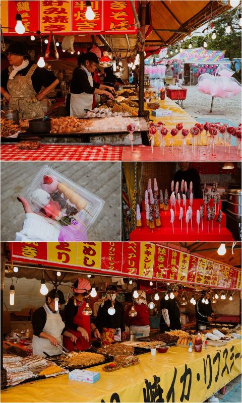 Happy New Year Candace Castor Photography 3 700x1168(pp w480 h800) - Happy New Year Candace Castor Photography (3)