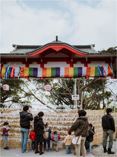 Happy New Year Candace Castor Photography 4 700x941(pp w480 h645) - Happy New Year Candace Castor Photography (4)