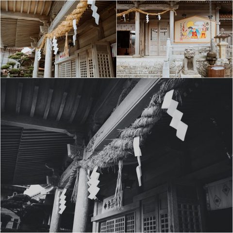 Happy New Year Candace Castor Photography 6 700x701(pp w480 h480) - Happy New Year Candace Castor Photography (6)