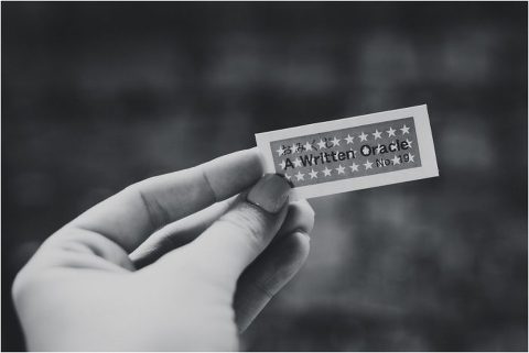 Happy New Year Candace Castor Photography 7 700x469(pp w480 h321) - Happy New Year Candace Castor Photography (7)