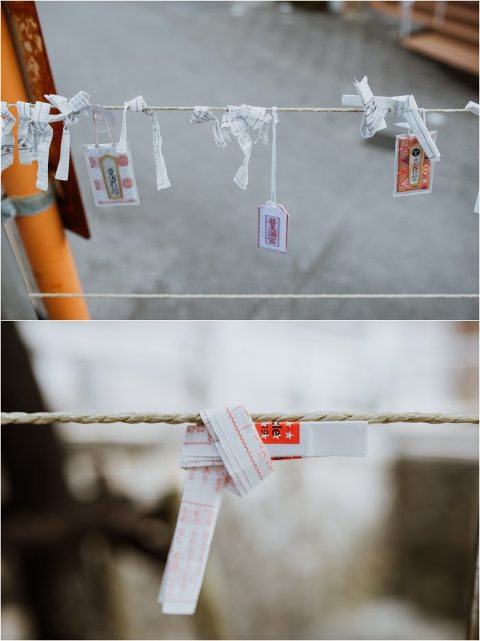 Happy New Year Candace Castor Photography 8 700x935(pp w480 h641) - Happy New Year Candace Castor Photography (8)