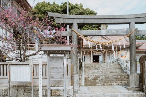 Happy New Year Candace Castor Photography 9 700x468(pp w480 h320) - Happy New Year Candace Castor Photography (9)