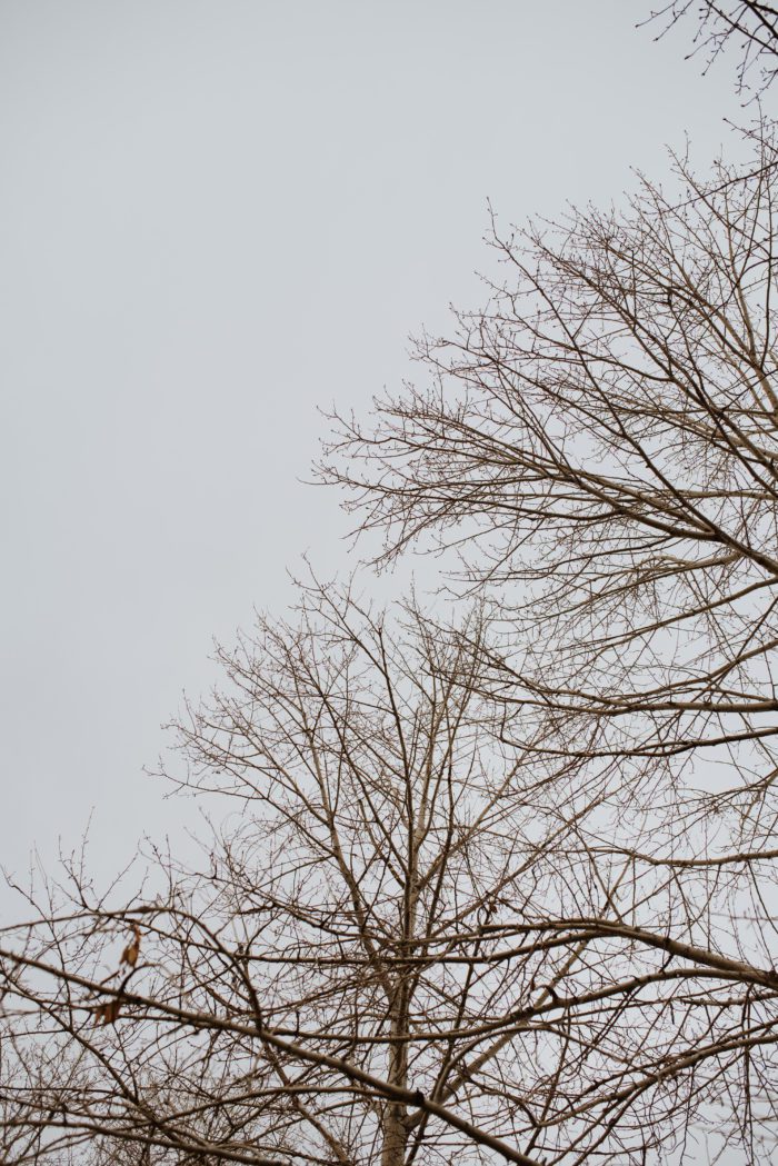 DSC2608 700x1049 - _DSC2608