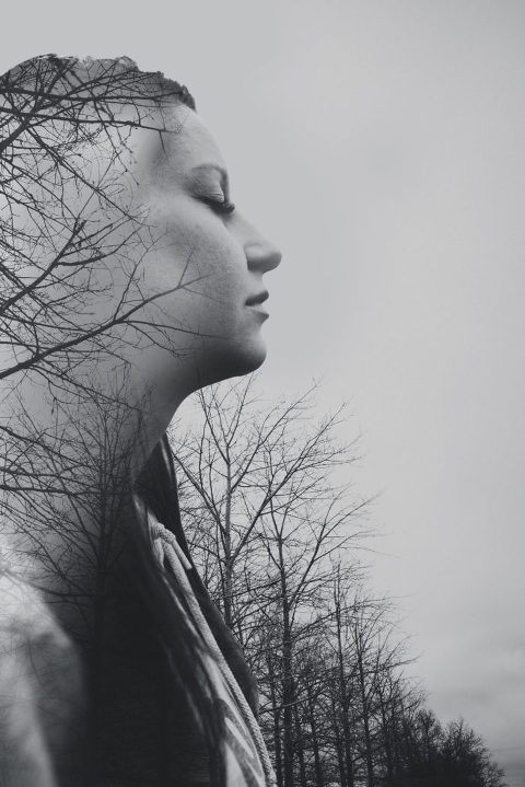 DSC2627 700x1049(pp w480 h719) - _DSC2627