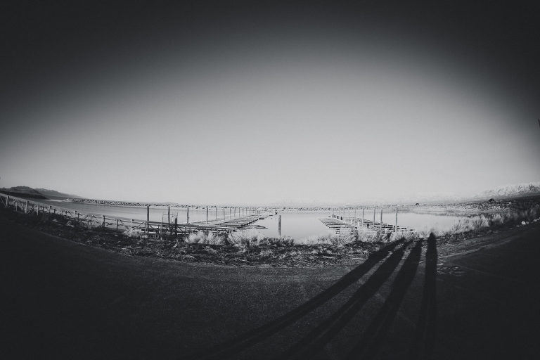 DSC2700 1 scaled(pp w768 h512) - 2020 Project 52: 6/52