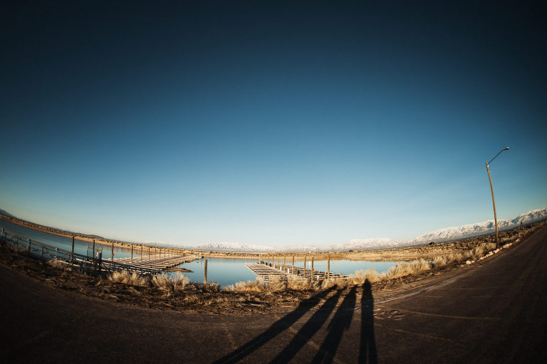 DSC2703 1 scaled(pp w768 h512) - 2020 Project 52: 6/52