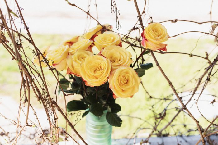 AbandonedHouseSelfies 038 700x467 - AbandonedHouseSelfies_038