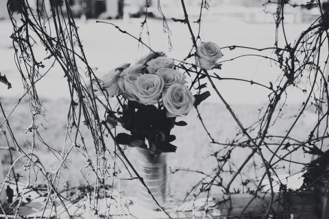 AbandonedHouseSelfies 039 700x467(pp w480 h320) - AbandonedHouseSelfies_039