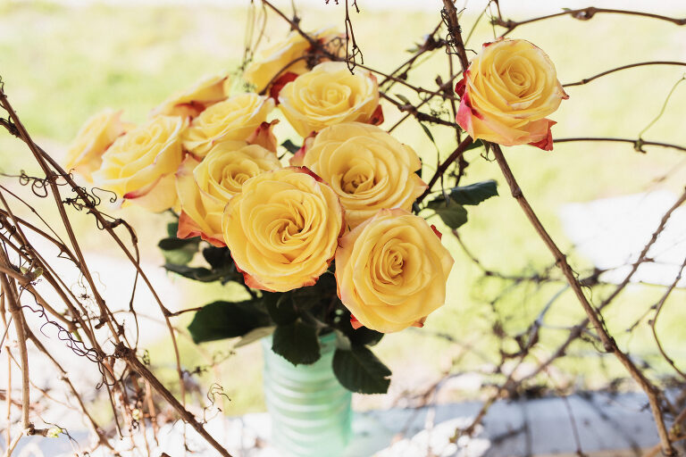 AbandonedHouseSelfies 040 scaled(pp w768 h512) - 2020 PROJECT 52: 15/52
