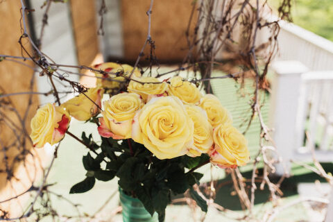 AbandonedHouseSelfies 044 700x467(pp w480 h320) - AbandonedHouseSelfies_044