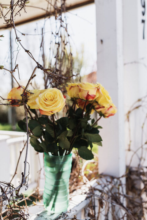 AbandonedHouseSelfies 047 700x1049(pp w480 h719) - AbandonedHouseSelfies_047