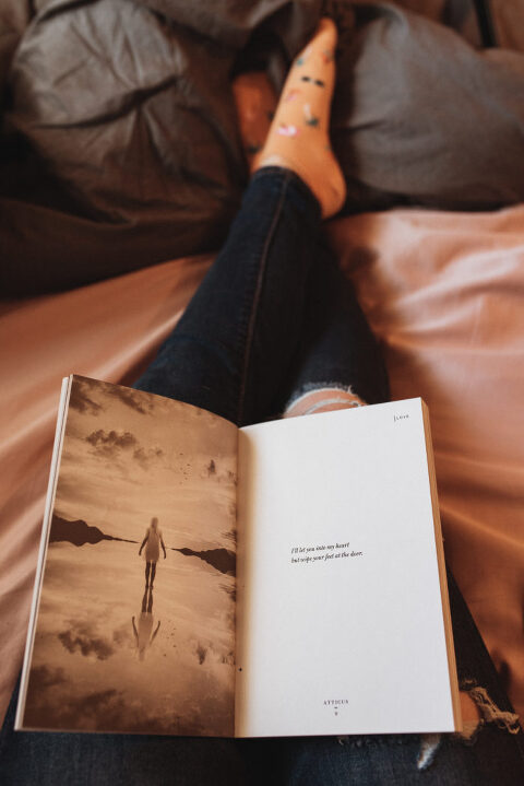 DSC4523 700x1049(pp w480 h719) - _DSC4523