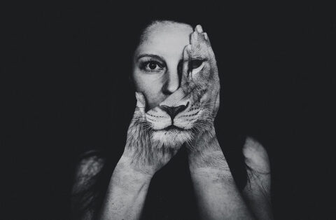 DSC5124.1 700x458(pp w480 h314) - _DSC5124.1