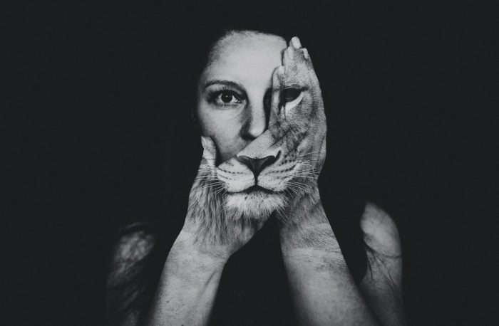 DSC5124.1 700x458 - _DSC5124.1