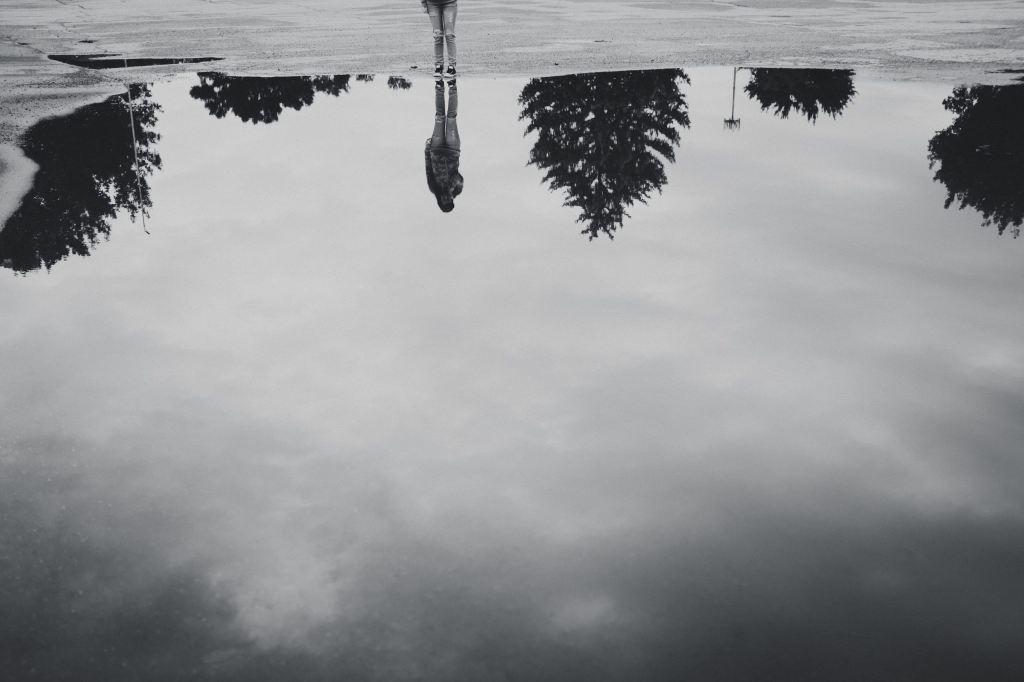 DSCF0368 1 scaled - 2020 PROJECT 52: 23/52