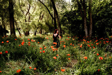 DSC4533 1 700x467(pp w480 h320) - _DSC4533