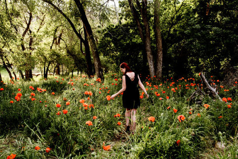 DSC4535 1 700x467(pp w480 h320) - _DSC4535