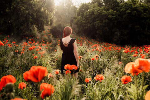 DSC4540 700x467(pp w480 h320) - _DSC4540