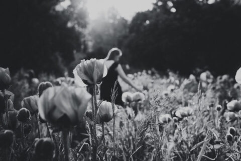 DSC4542 700x467(pp w480 h320) - _DSC4542