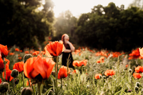 DSC4544 700x467(pp w480 h320) - _DSC4544