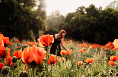 DSC4546 700x457(pp w480 h313) - _DSC4546