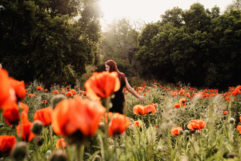 DSC4547 700x467(pp w480 h320) - _DSC4547