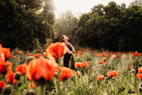 DSC4548 700x467(pp w480 h320) - _DSC4548