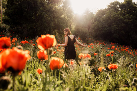 DSC4552 700x467(pp w480 h320) - _DSC4552