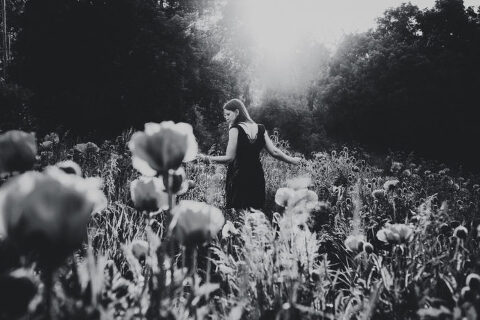 DSC4552 1 700x467(pp w480 h320) - _DSC4552_1